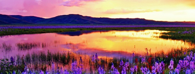 Idaho - will never cease to amaze you - See America - Visit USA Travel Guide